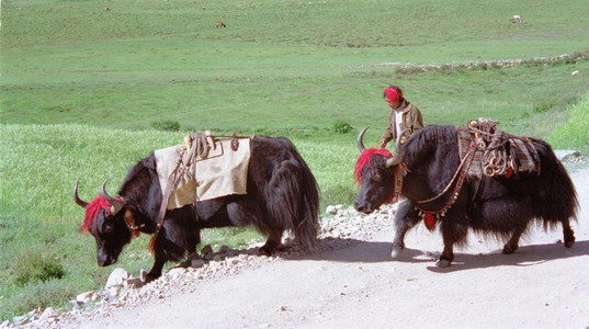 1998 Tibet 32.jpg