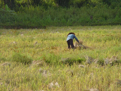 2005 Cambodia Thailand 12.jpg