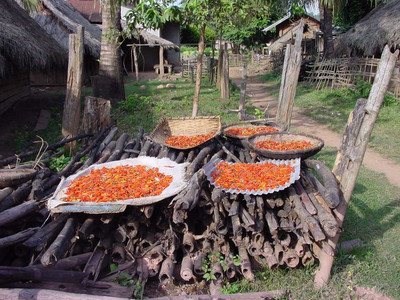 2005 Cambodia Thailand 13.jpg