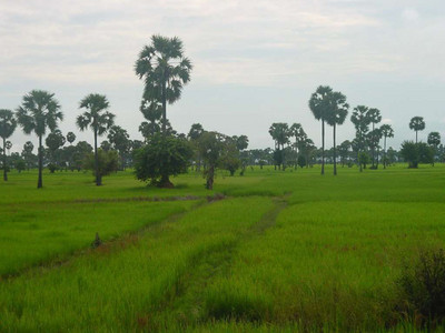 2005 Cambodia Thailand 42.jpg