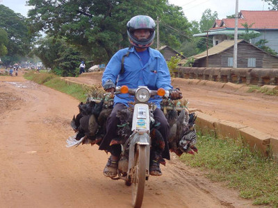 2005 Cambodia Thailand 46.jpg