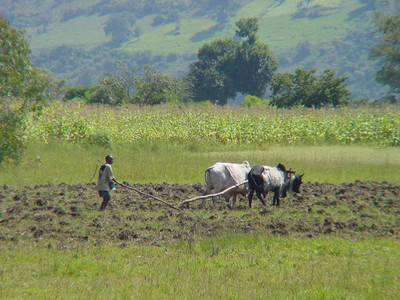 2007 Ethiopia 08.jpg