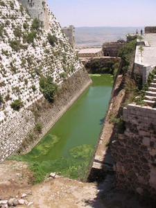 2009 Syria 11  - Krak des Chevalliers a lake of mint lemonade maybe.jpg