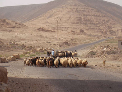 2009 Syria 47  - Halabiye ruins on the banks of the Euphrates.jpg